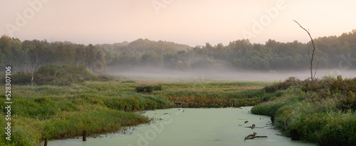 A beautiful early morning panoramic view of a wetland in Muscatatuck National Wildlife Refuge in Indiana. There is a forest, a small moss covered lake, and some fog in the image at sunrise. photo