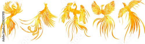 Phoenix bird watercolor set black silhouette isolated, vector