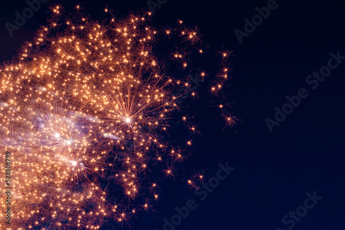 Bright, fiery fireworks against the background of the night sky.