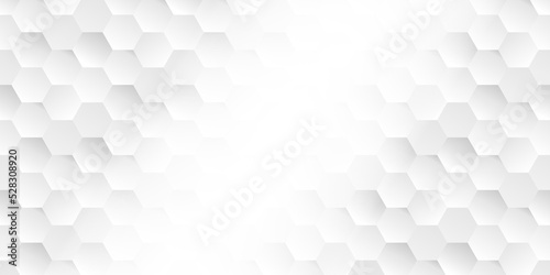simple hexagonal structure grey style tech honeycomb white space hex banner molecule web