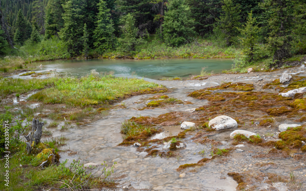 Water flows at Ink Pods, Banff National Park Stock Photo | Adobe Stock