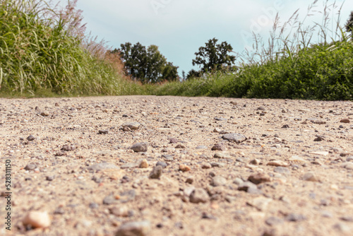 Low angle view on an gravel road leading to an unknonwn point in the forest. Diminishing perspective. Selective focus. Copy space.