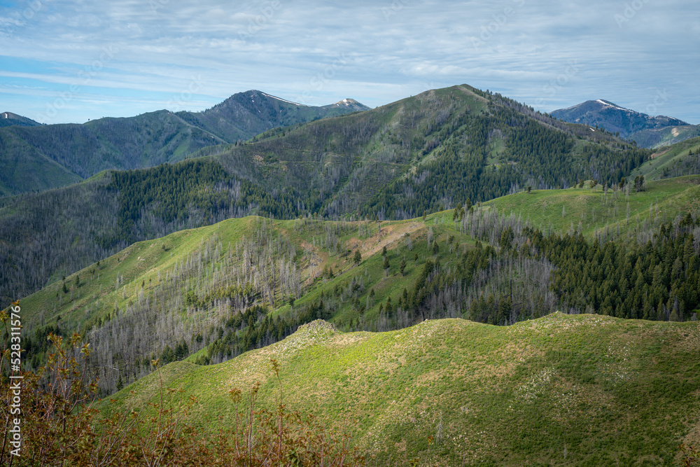 Green Mountain landscape