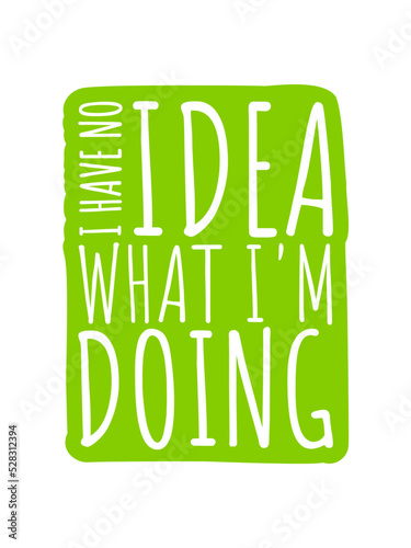 I Have No Idea What I'm Doing