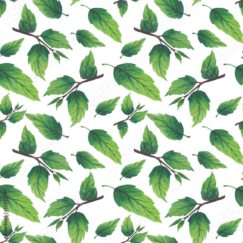 Pattern of watercolor plum tree branches with green leaves and fruits.
