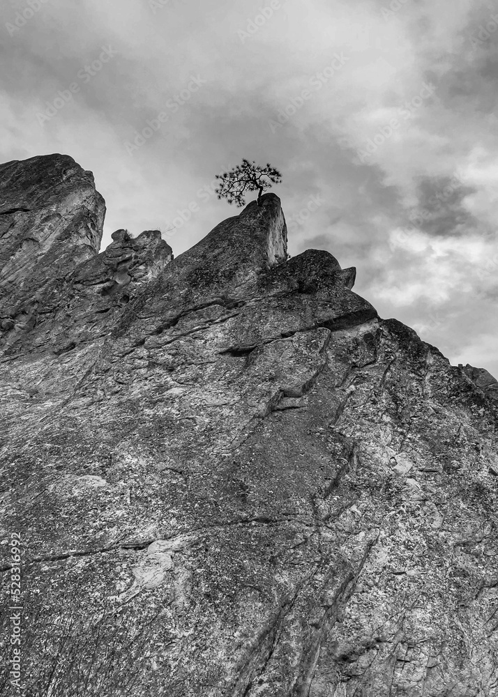 A black and white silhouette of a lone tree on top of dramatic, jagged rocks