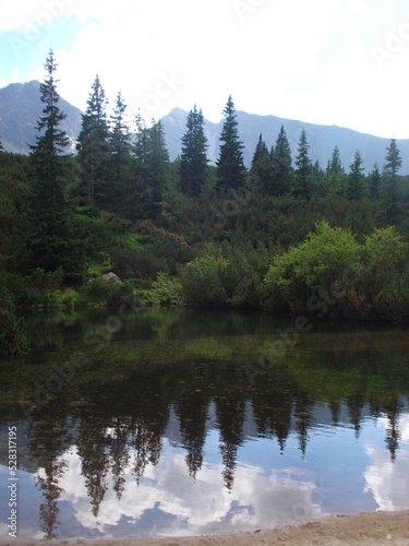 Bosque reflejado en lago © Xisco