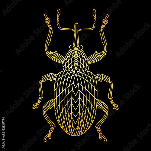 A golden beetle in a linear style. Linear vector illustration of a golden beetle.