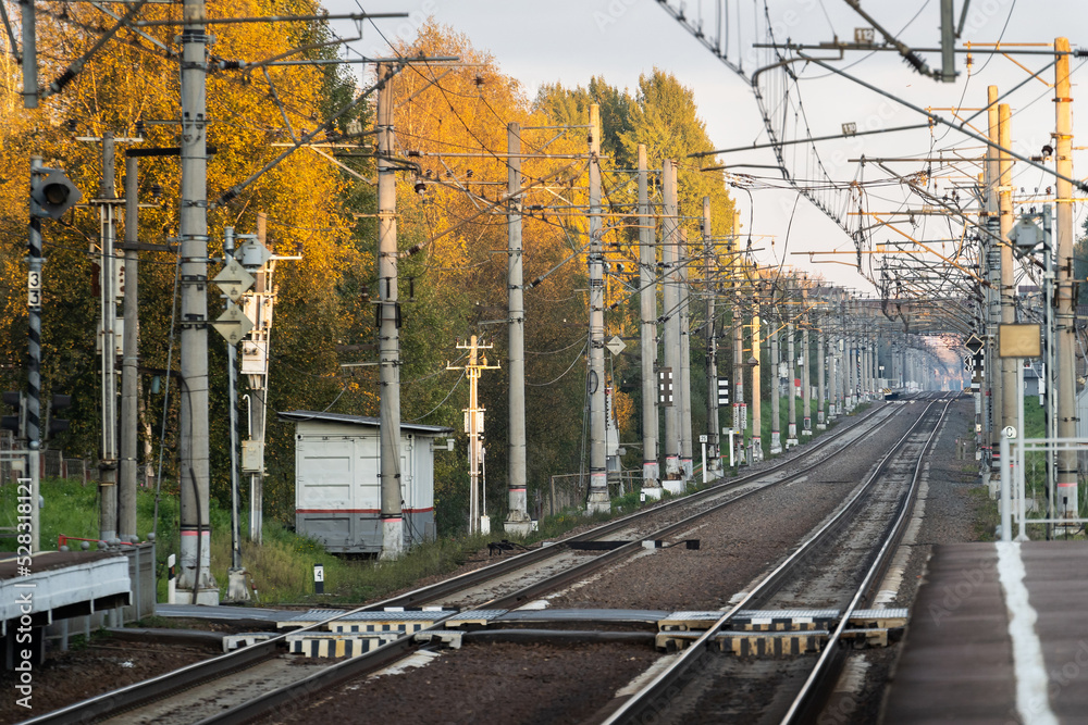 Empty railway tracks at sunset, autumn forest on background. Perspective of electrified high-speed railroad. Transportation concept. 