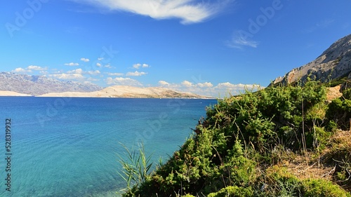 Vegetation on arid Pag island in forefront, landscape of central Pag bay near Saint Maria beach in background, sounthern Velebit mountain on horizon. Photo taken during partially cloudy summer day. photo