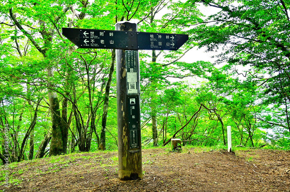 西丹沢の湯船山山頂　新緑の森
湯船山は西丹沢の南西、神奈川県と静岡県との県境尾根（神奈川・静岡県境尾根）に位置する山。神奈川・静岡県境尾根の最高地点でもある。山頂は森の中の狭い場所で展望はなく、富士箱根トレイルの道標と三角点の柱石があるだけ。
