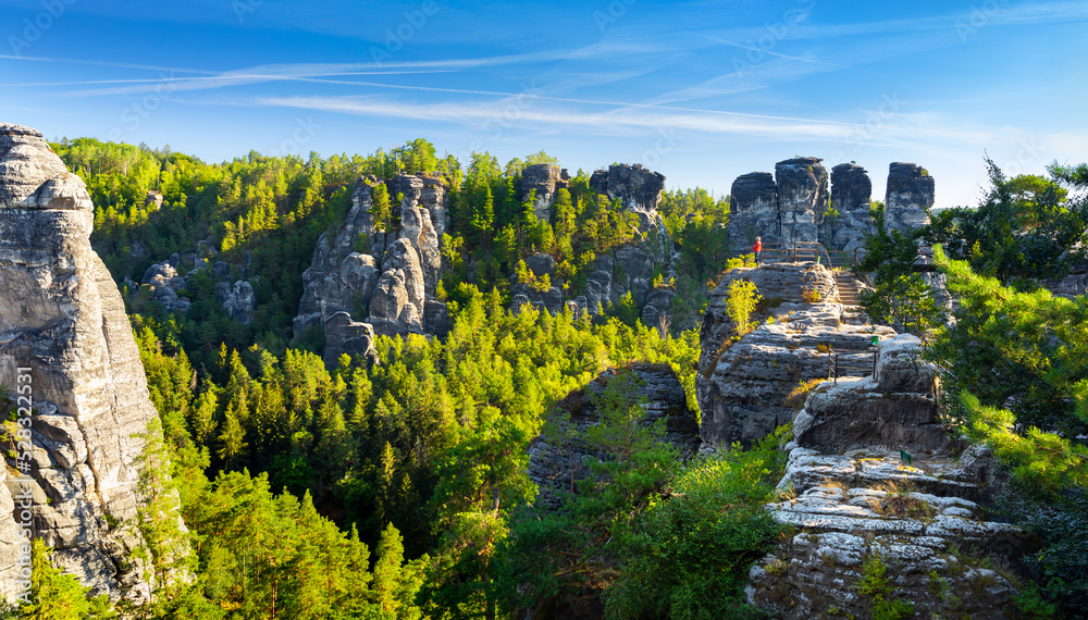 Panorama view of the Bastei. The Bastei is a famous rock formation in Saxon Switzerland National Park, Germany
