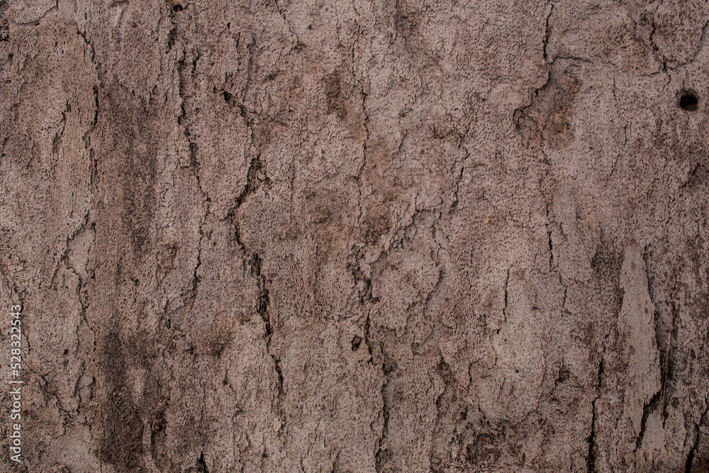 Closeup of background structure of a weathered wooden surface dried light timber without bark. Closeup of background structure of a weathered wooden surface dried light timber without bark.