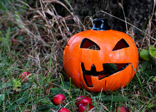 Halloween pumpkin decoration on grass. Spooky orange pumpkin in woodland. October celebrations