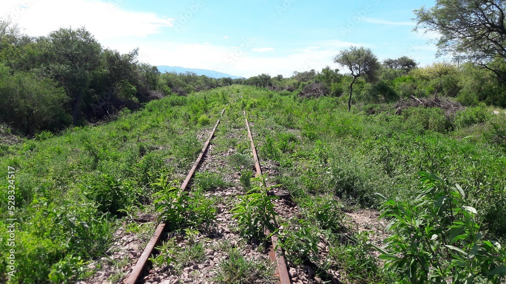 Fototapeta premium Vias viejas