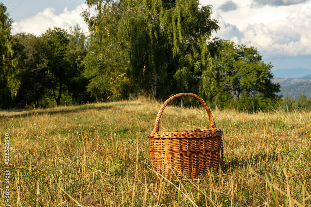 Wicker basket on the green meadow.Sunny day in the summer. Wicker basket on the green meadow.Sunny day in the summer.