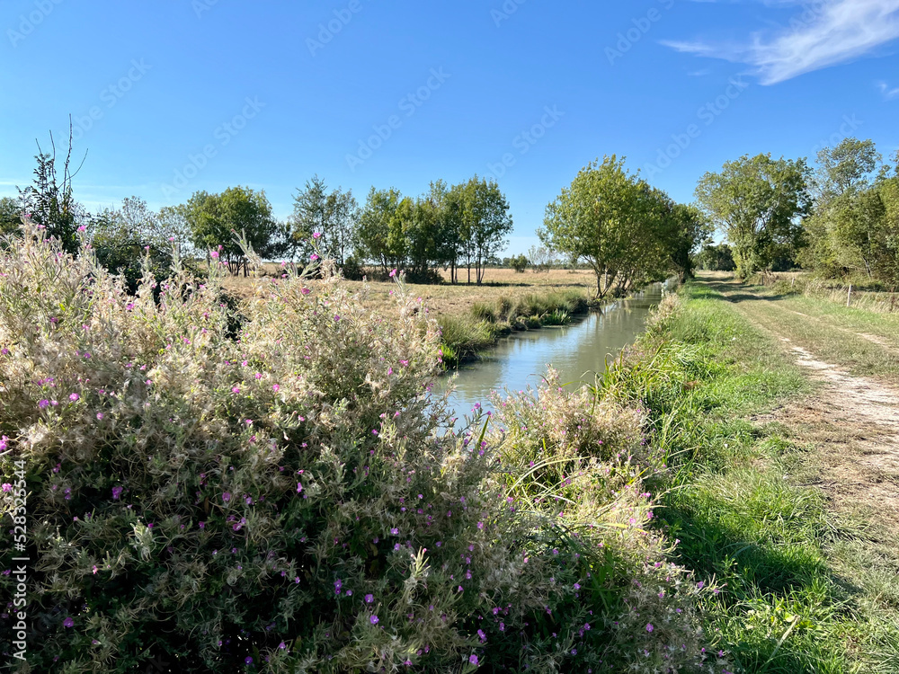 Fototapeta premium Charente-Maritime