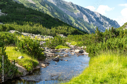 Summer landscape of Pirin Mountain near Banderitsa River, Bulgaria