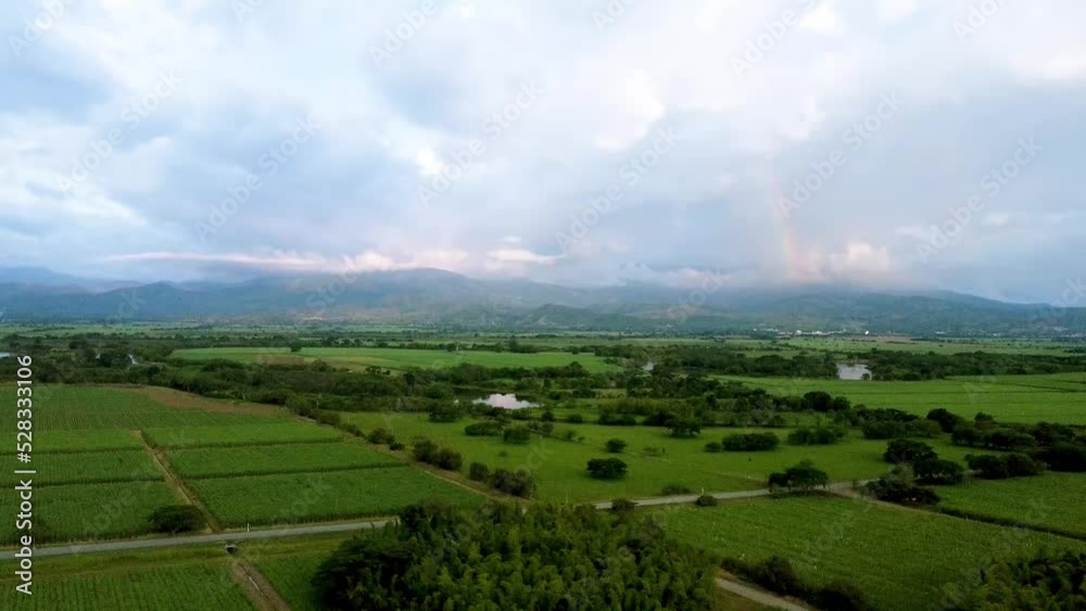 Paisaje de montañas con cultivos de caña de azucar con vista de dron Paisaje de montañas con cultivos de caña de azucar con vista de dron