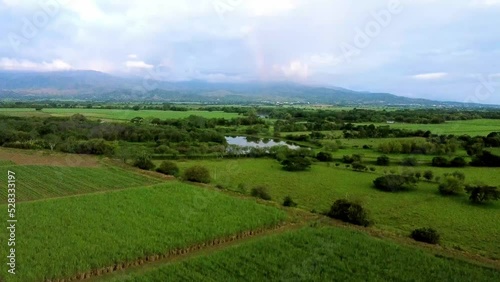 Wallpaper Mural Paisaje de montañas con cultivos de caña de azucar atravezadas por un lago vista desde dron Torontodigital.ca