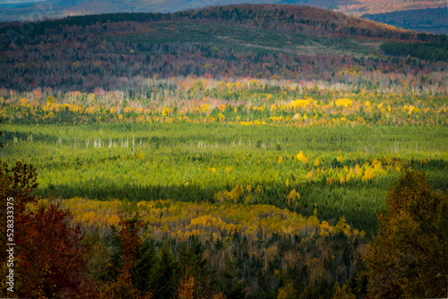 Autumn Colors Stretch Across the Northwoods of Maine