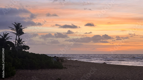 sunset at the beach