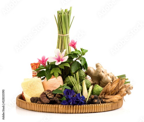 Hair tonic herbs such as butterfly pea flower, lemongrass and others isolated on white background.