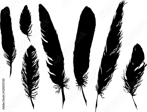 Wallpaper Mural Silhouette black and white monochrome feather set isolated art Torontodigital.ca