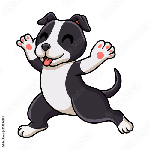 Cute american staffordshire terrier dog cartoon walking