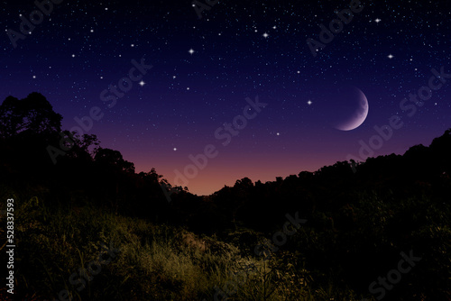 Beautiful night nature landscape in the mountain © Johnster Designs