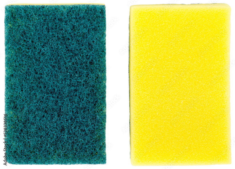 Fototapeta premium Sponge dish for decorative