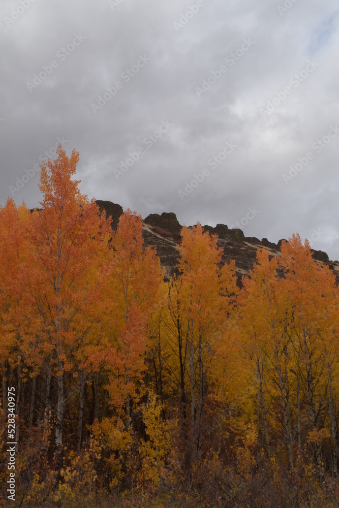 Autumn on the east Cascade Mountain slopes