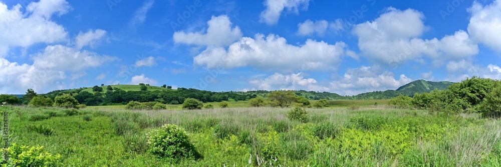 青空バックに見る夏の八島ヶ原湿原のパノラマ情景＠長野