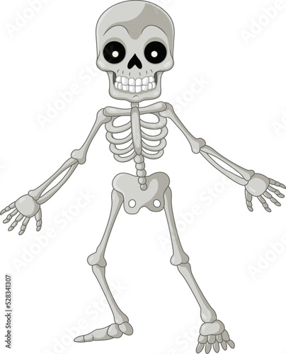 Cartoon funny skeleton on white background