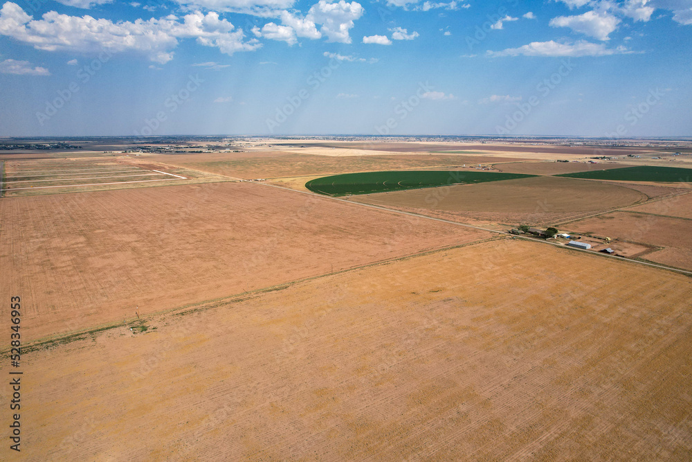 Texas Prairie just outside of Amarillo.