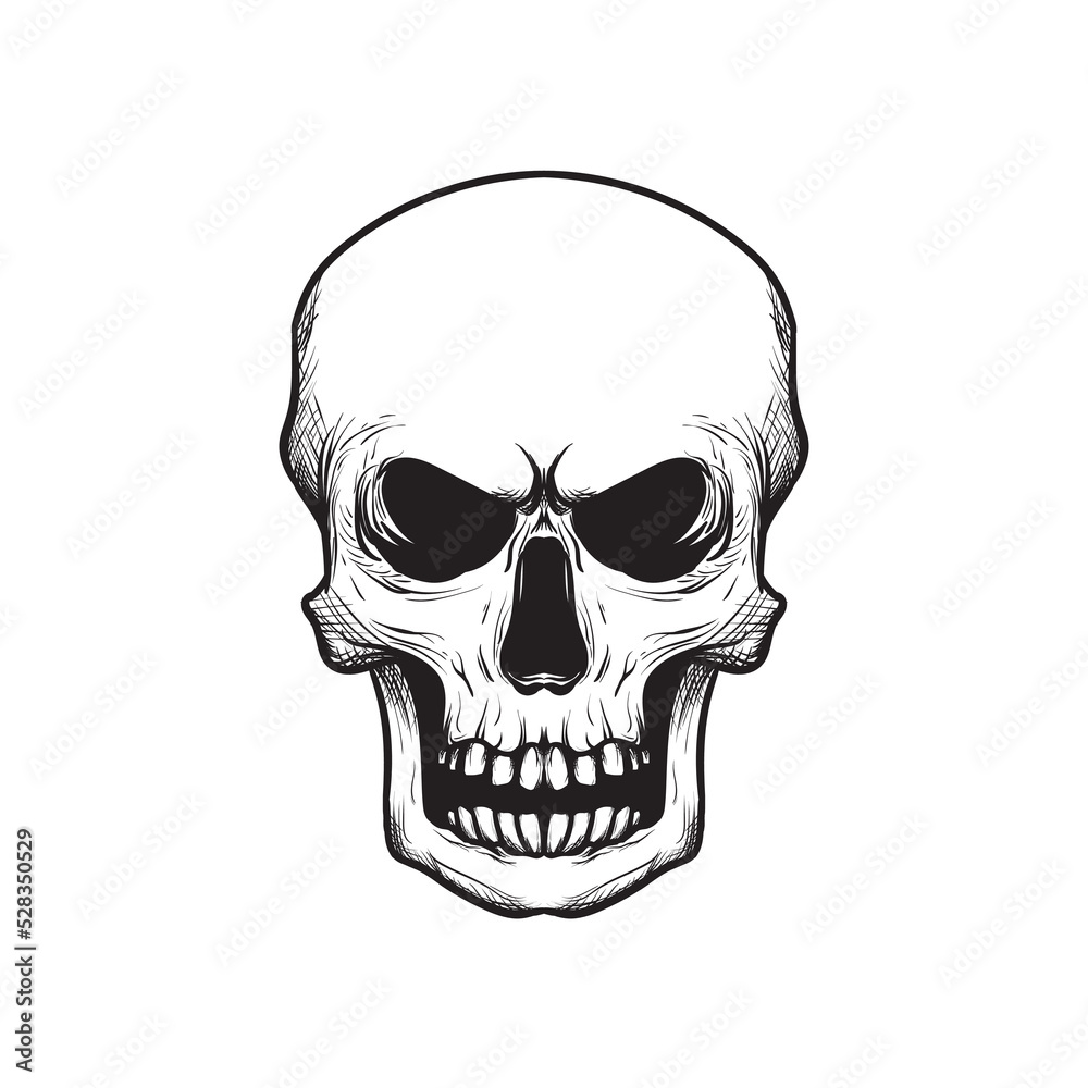 Creepy skull sketch asset for logo, T shirt, sticker, emblem, and more