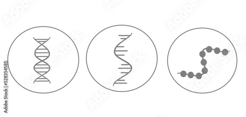 The molecular biology of DNA, RNA and Protein structure that represents in icon concept