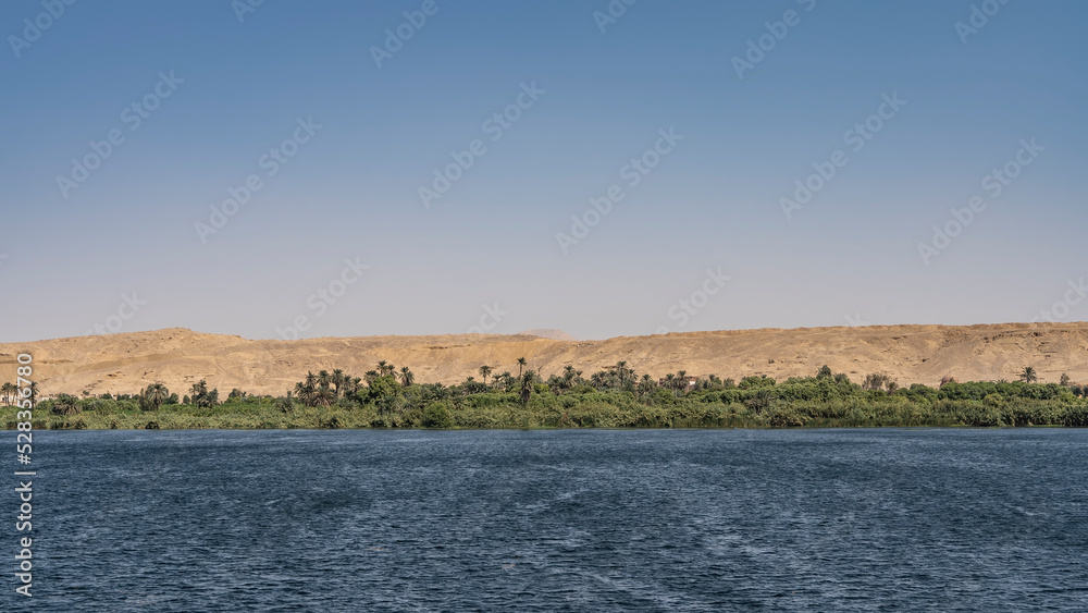 Lush green vegetation grows on the bank of the blue river - palm trees, bushes. A sand dune against a clear sky. Copy space. Egypt. Nile