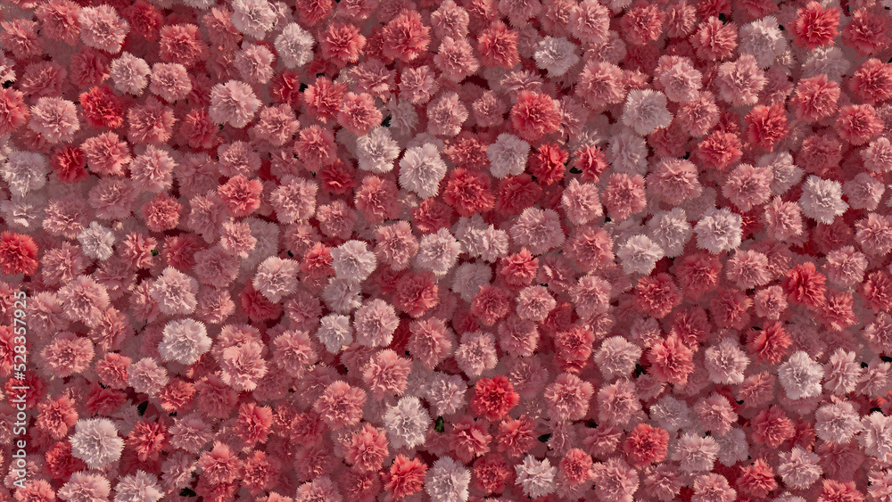 © RocknRoller Studios - Vibrant, Elegant Wall background with Carnations. Beautiful, Floral Wallpaper with Red, Colorful flowers. 3D Render