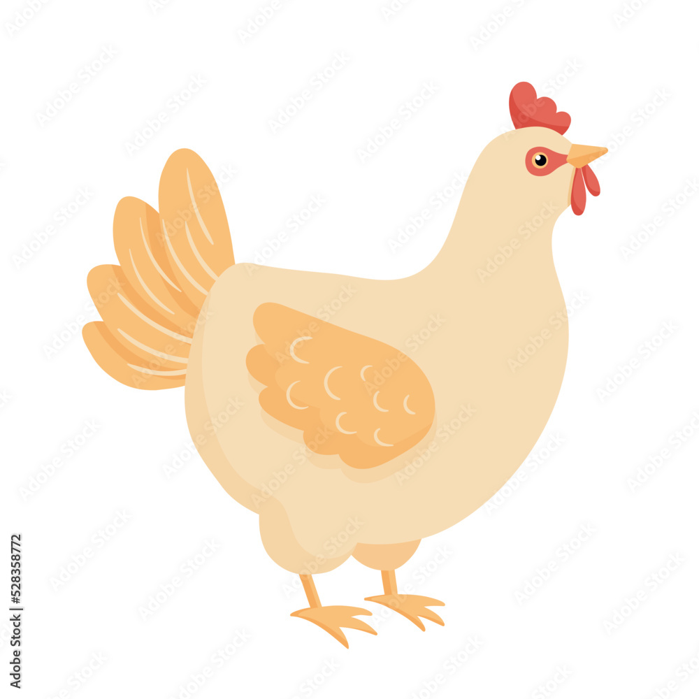Cute cartoon chicken. Vector illustration isolated on white background. Farm animal hen