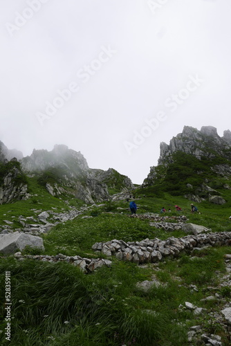 Senjojiki Curl is close to the ridgeline of the Central Alps, the bowl-shaped terrain created by glaciers is a treasure trove of alpine flora. photo