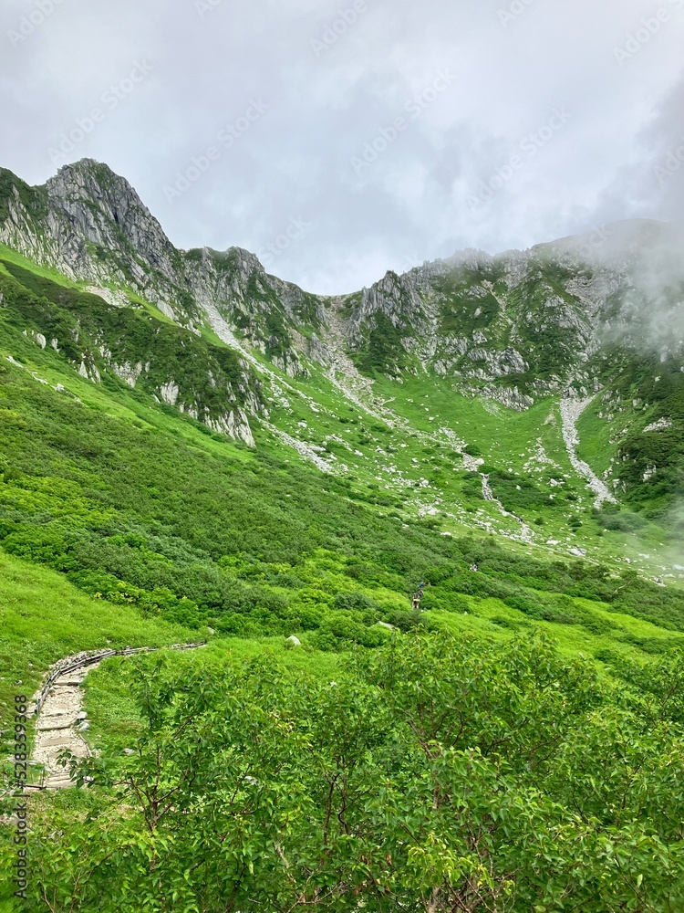 Senjojiki Curl is close to the ridgeline of the Central Alps, the bowl-shaped terrain created by glaciers is a treasure trove of alpine flora.