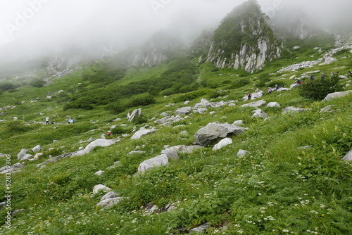 Senjojiki Curl is close to the ridgeline of the Central Alps, the bowl-shaped terrain created by glaciers is a treasure trove of alpine flora. photo