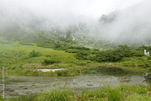 Senjojiki Curl is close to the ridgeline of the Central Alps, the bowl-shaped terrain created by glaciers is a treasure trove of alpine flora. photo