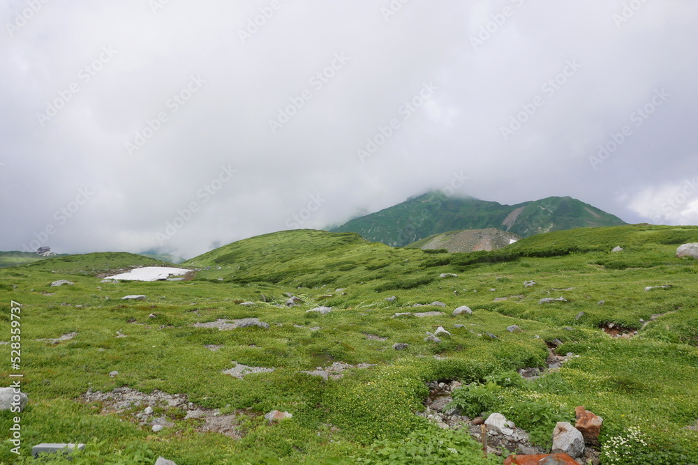 Murodo is at 2,500 m, this is the highest point on the Tateyama Kurobe Alpine Route. There are many places that you can take a walk to, such as Mikurigaike.