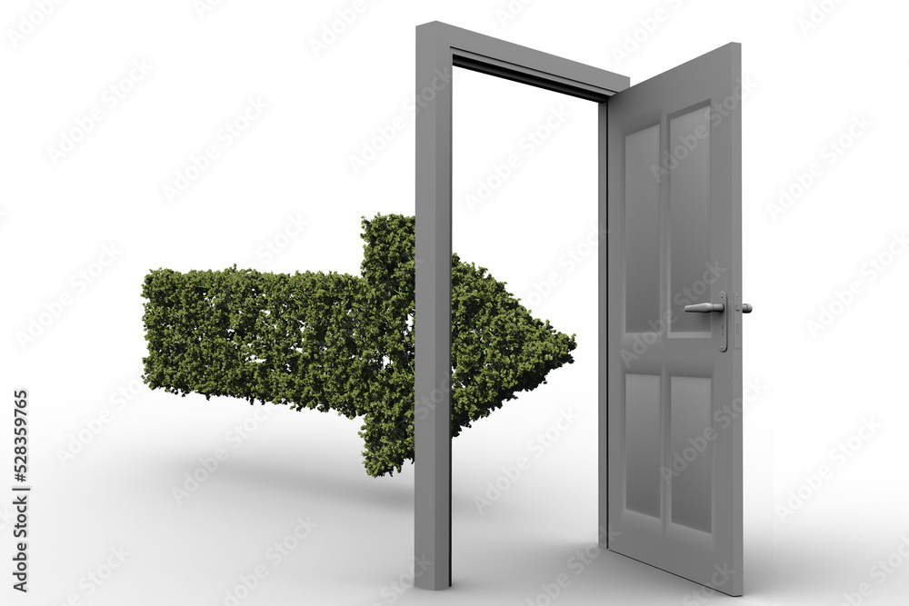 Obraz premium Arrow shape of topiary entering door