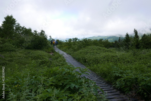 Midagahara Wetlands is Scenic hiking area along the Alpine Route in Nagano,Japan.