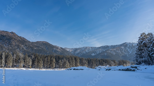 The valley is covered with pure white snow. Coniferous forest and mountain range against the blue sky. Copy space. Altai