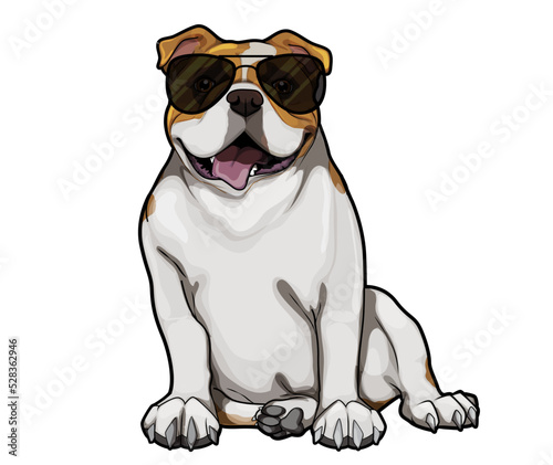 Cute English Bulldog Sunglasses vector cartoon illustration