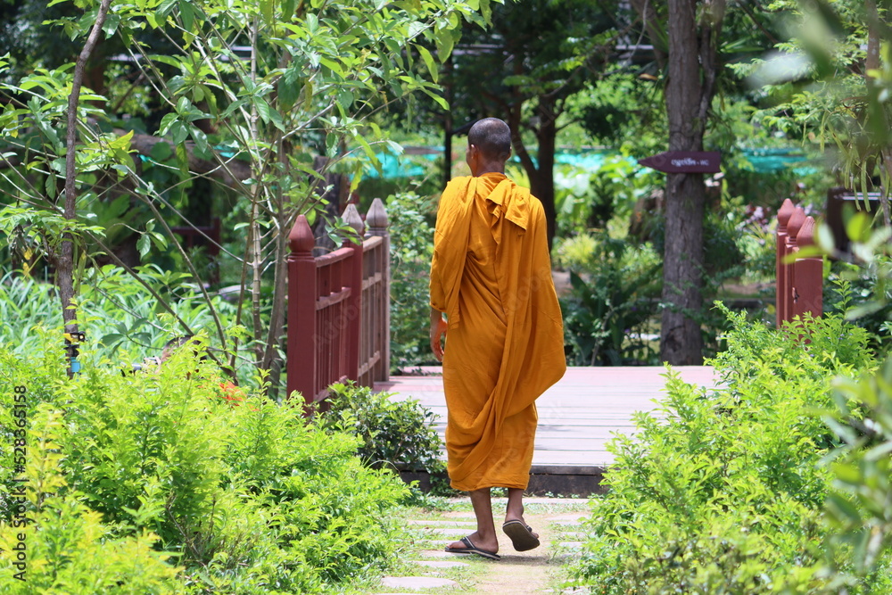 Fototapeta premium Cambodia. A Buddhist monk walks in the botanical garden in Siem Reap.